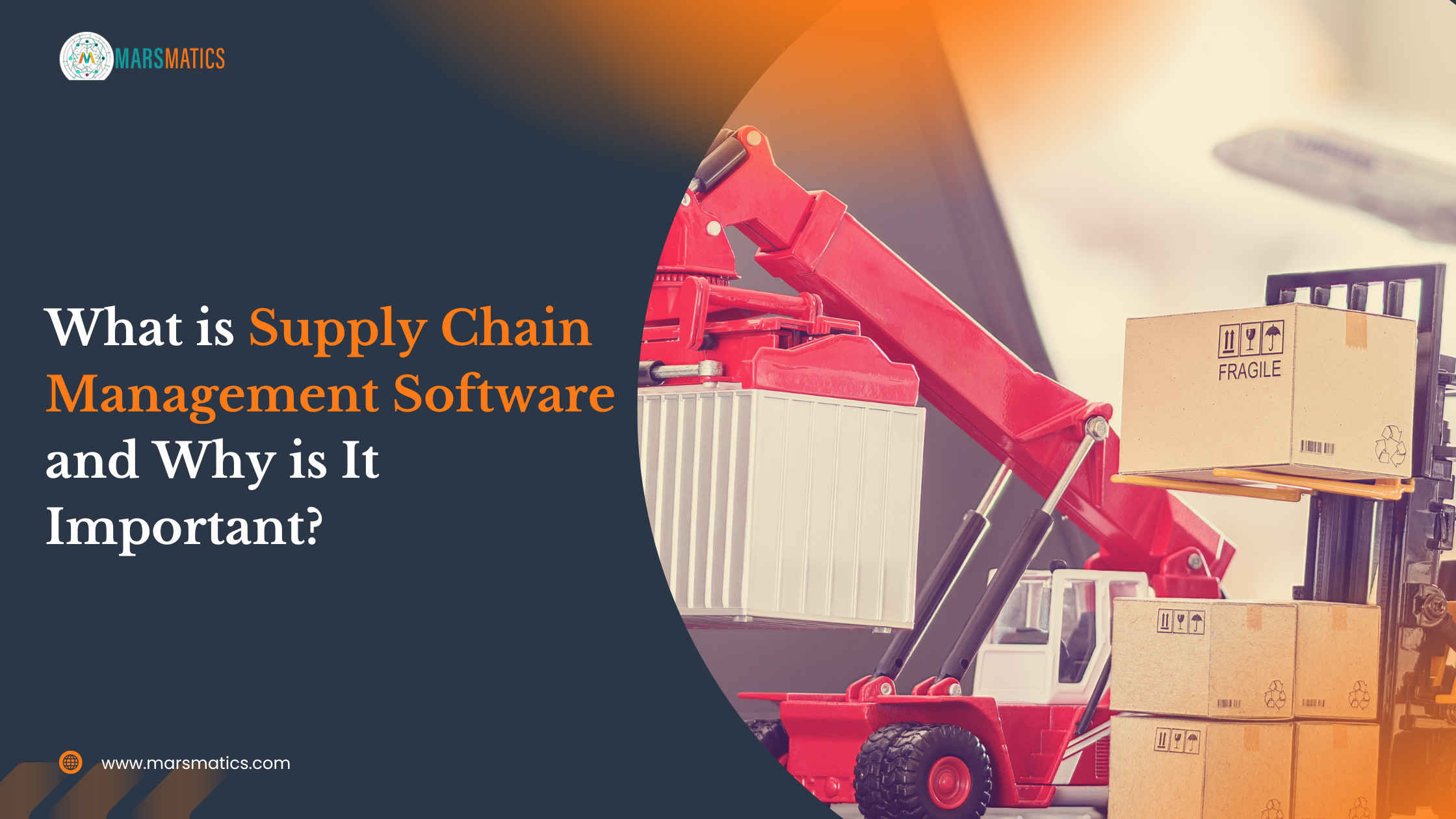 supply chain management software