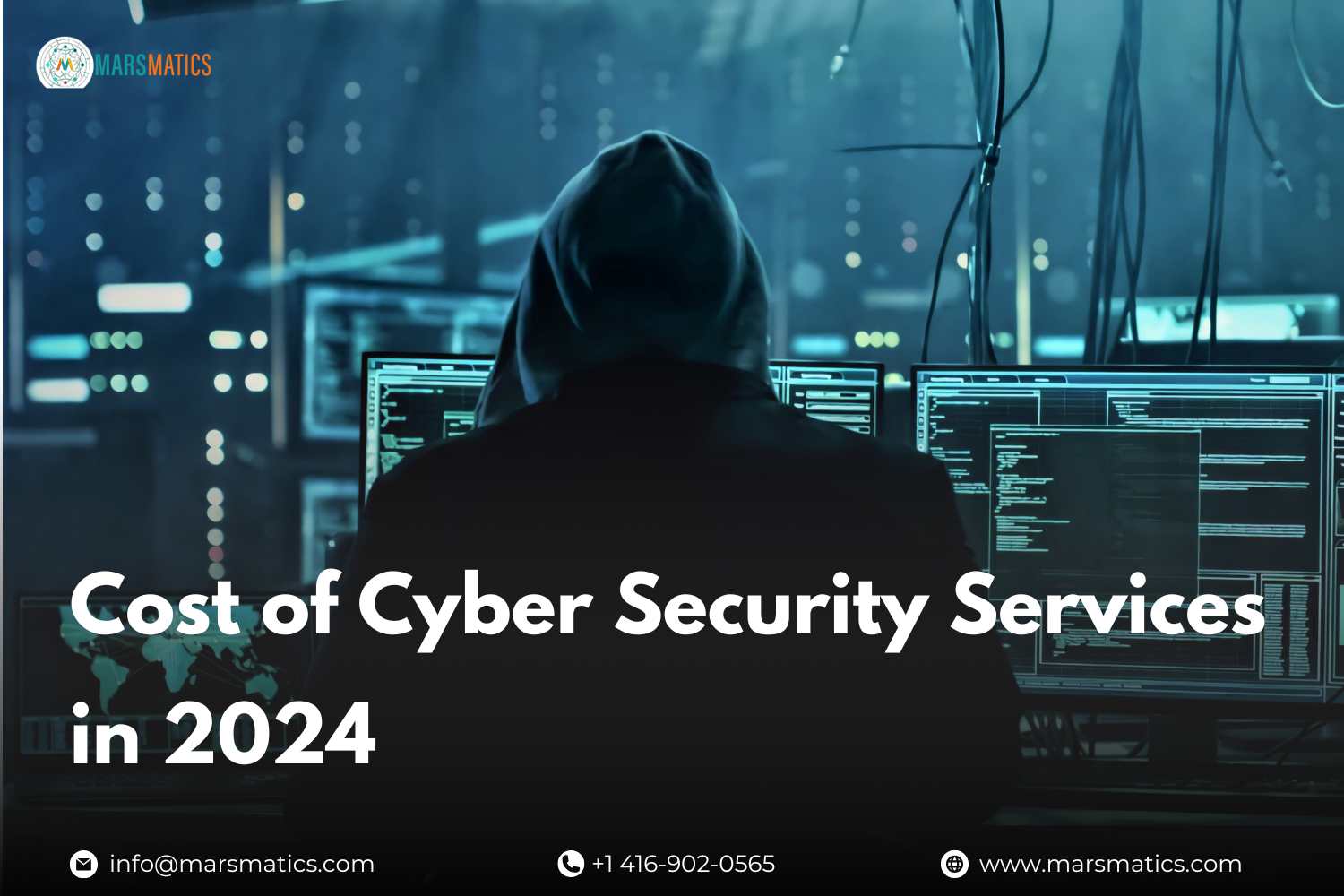 Cost of Cyber Security Services in 2024