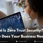 What Is Zero Trust Security