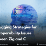 zig and c