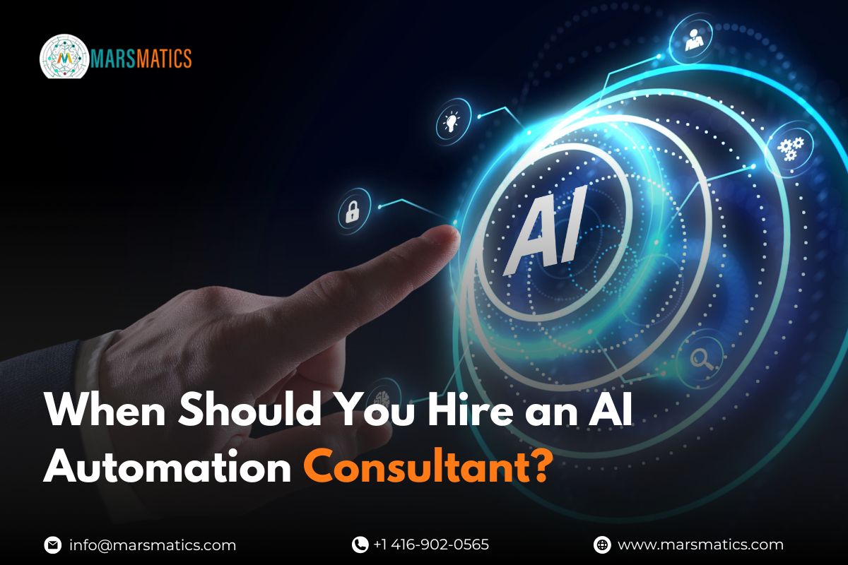 AI Automation Consultant