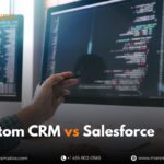 Custom CRM vs Salesforce