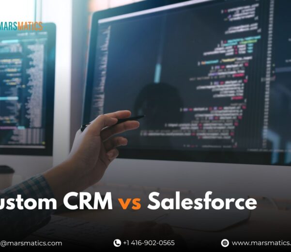 Custom CRM vs Salesforce