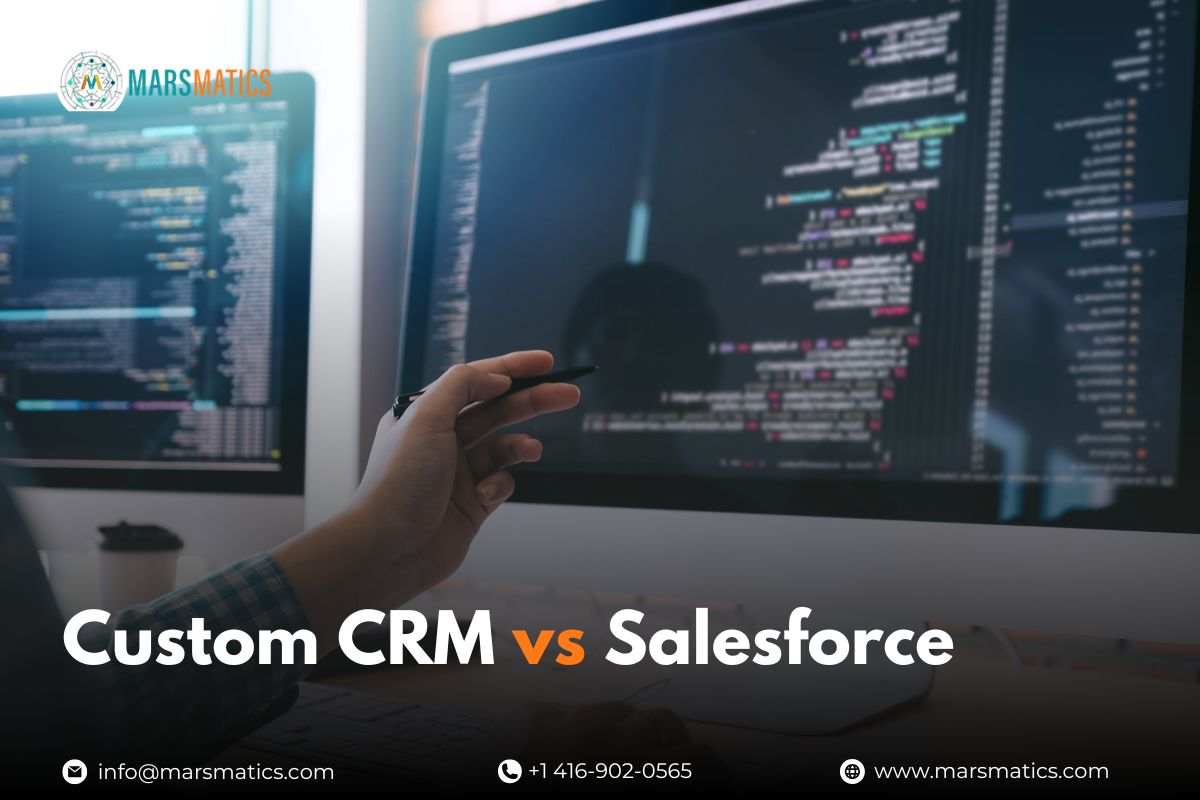 Custom CRM vs Salesforce